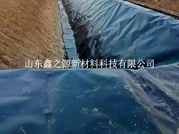 魚塘防滲膜焊縫漏了？這些檢測技巧一查一個(gè)準(zhǔn)