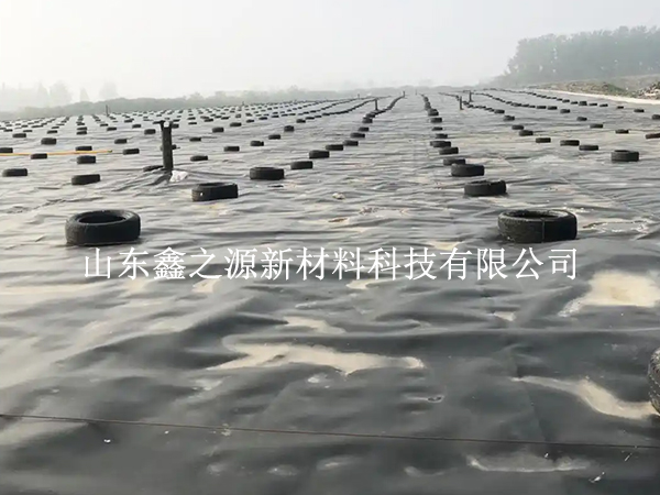 蓄水池防滲膜裁剪別亂剪，這些技巧更省心